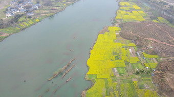 航拍春天乡村田园<strong>油菜花</strong>