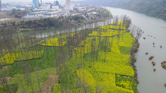 航拍春天乡村田园油菜花