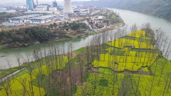 航拍春天乡村田园<strong>油菜花</strong>