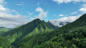 航拍高山森林云海自然风光