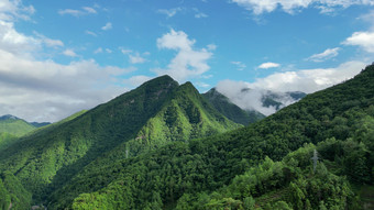 航拍高山森林云海自然风光