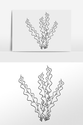 手绘黑色艺术线描海带插画图片
