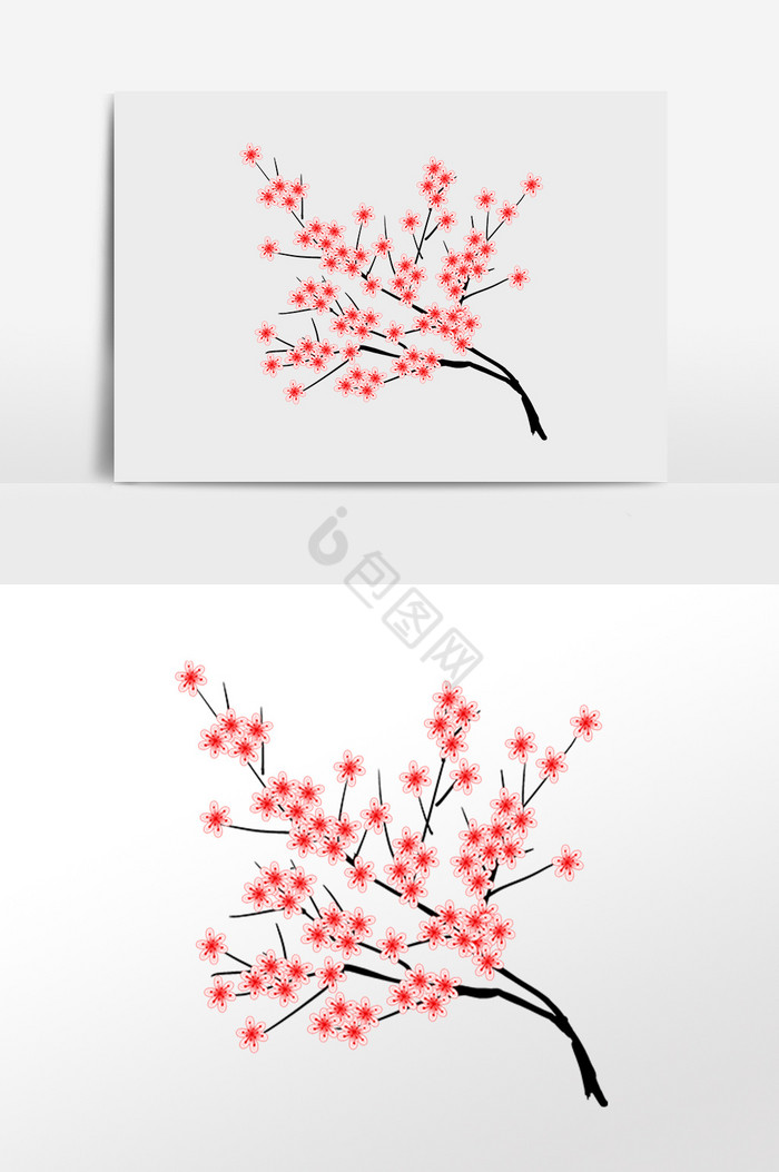 春天春季樱花枝植物插画图片