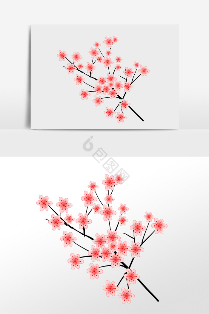 春天樱花枝植物插画图片