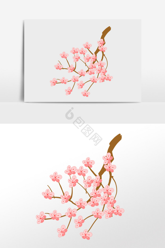 春天樱花花枝植物插画图片