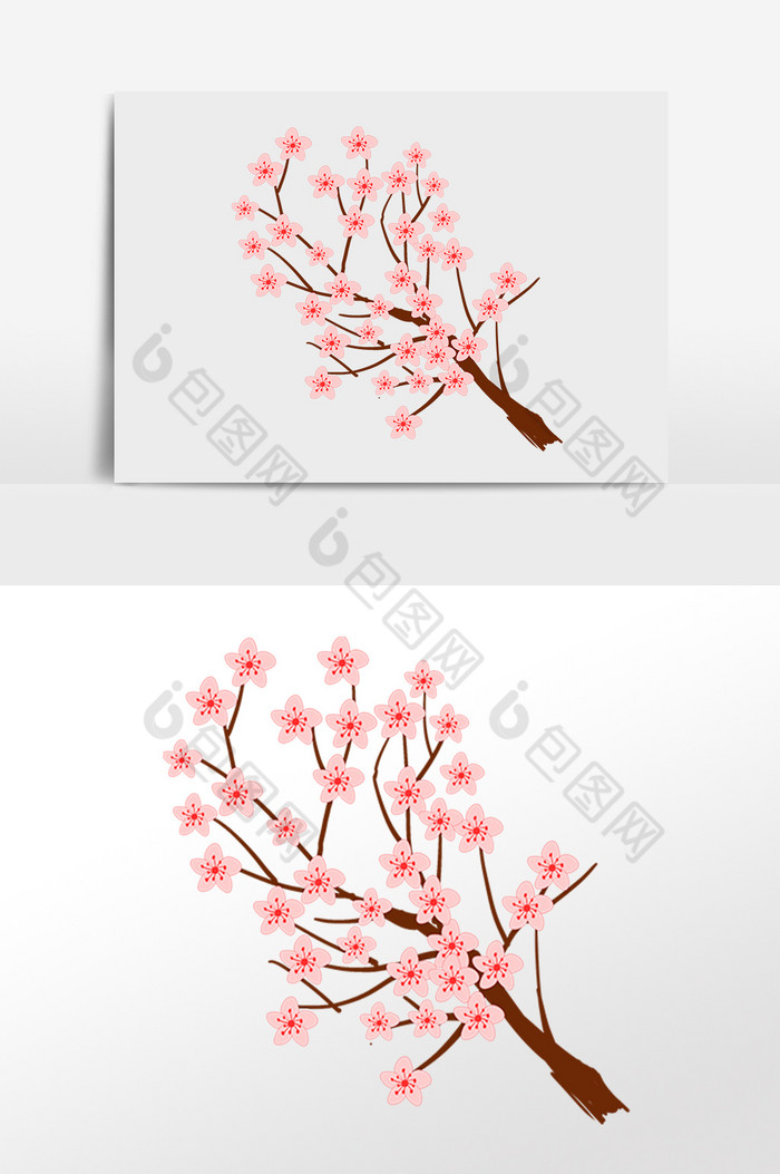 春天樱花植物花枝插画图片图片