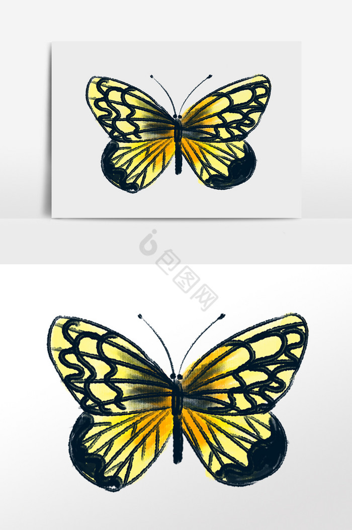 飞翔的花花蝴蝶插画图片
