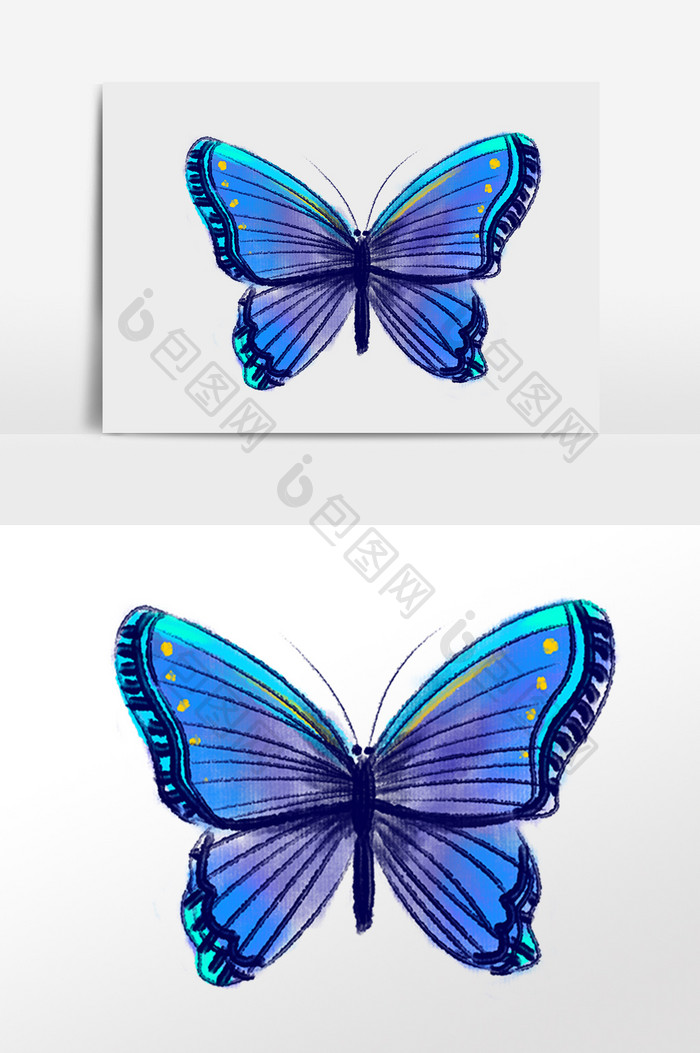 手绘飞翔的蓝色蝴蝶插画