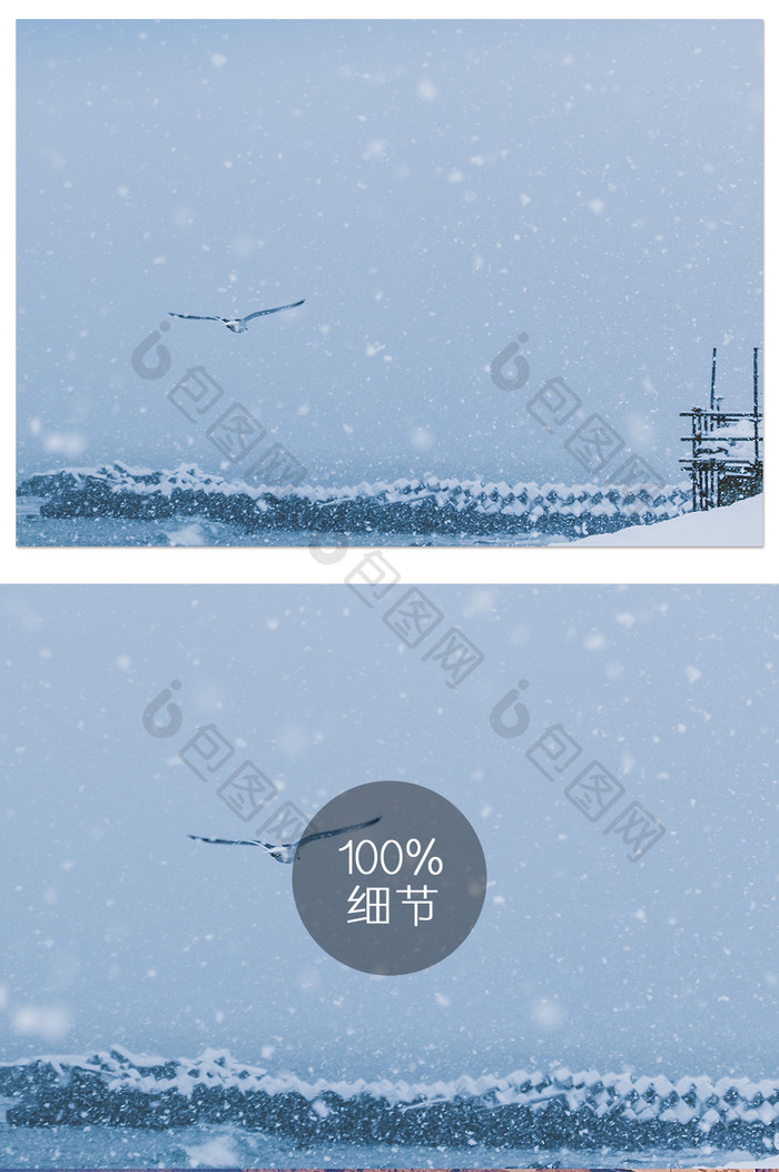 蓝色冬季海边大雪纷飞海鸥暗调摄影图片