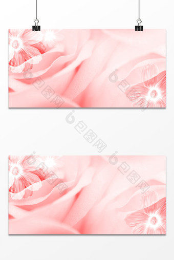 温馨浪漫花卉花瓣玫瑰花三八女神节背景图片
