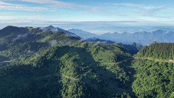 航拍湖北神农架林区原始森林