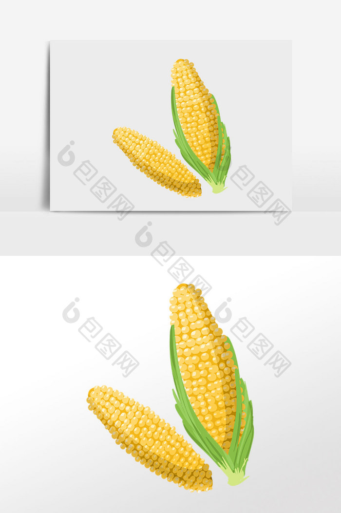 手绘金黄玉米粮食插画