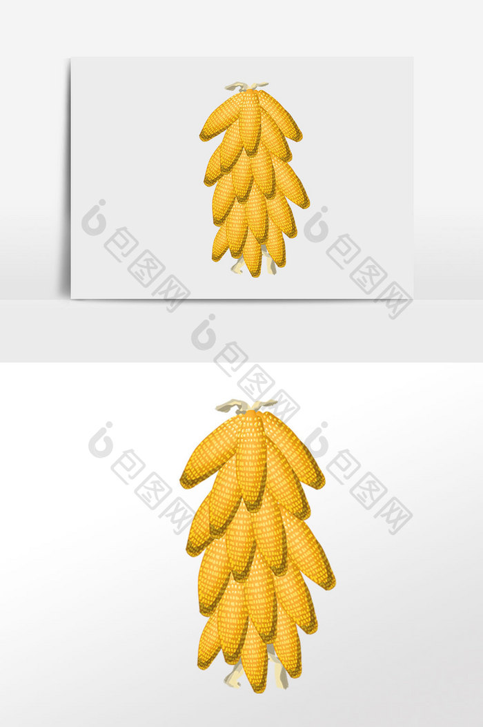 手绘一大串玉米粮食插画