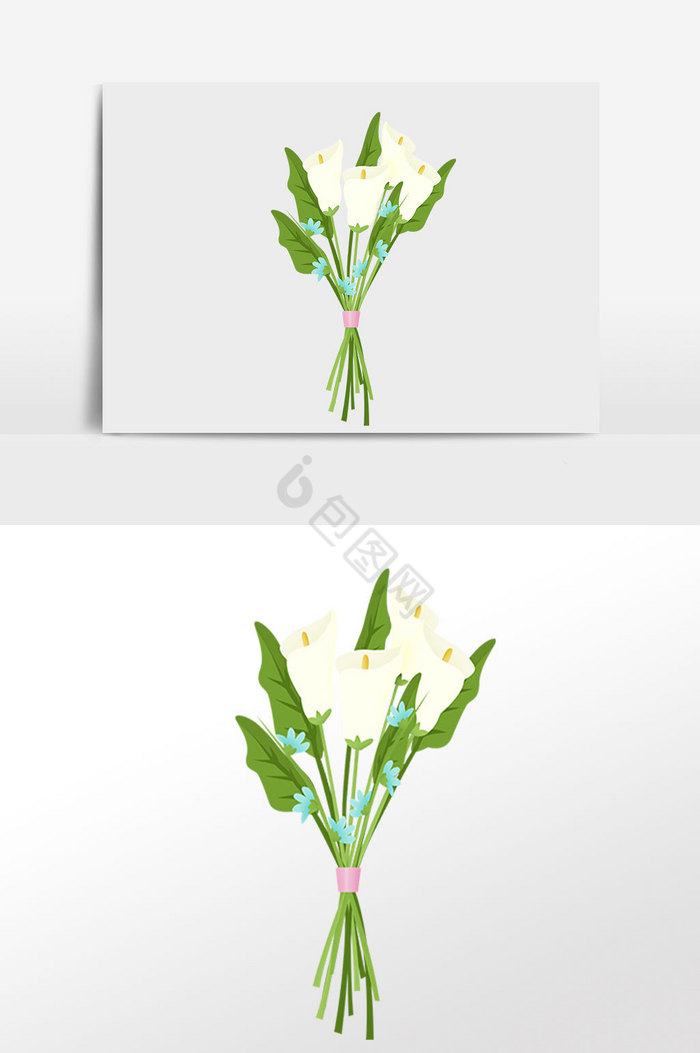 植物花插画图片