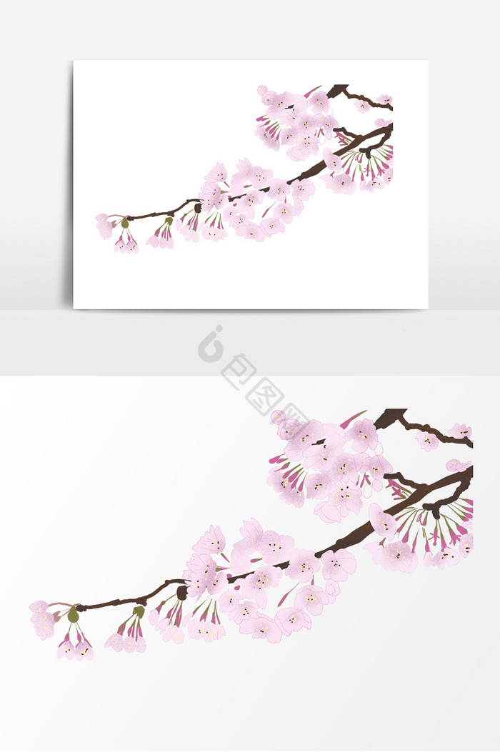 樱花形象图片