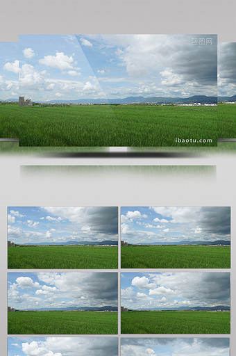 实拍水稻天空延时超清视频素材图片
