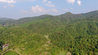 航拍脸面起伏山川森林