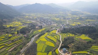 航拍美丽乡村梯田油菜花