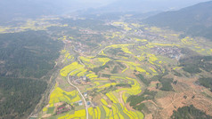 航拍美丽乡村梯田油菜花