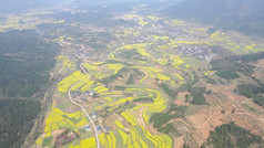 航拍美丽乡村梯田油菜花