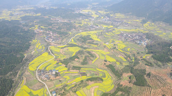 航拍美丽乡村梯田<strong>油菜花</strong>