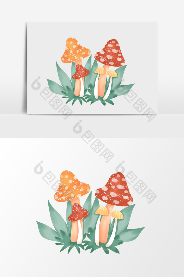 草叶蘑菇小图片图片