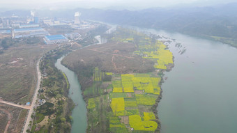 航拍乡村田园油菜花