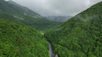 航拍雄伟大山森林自然风光