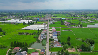 旅游景区湖南常德城头山<strong>古文</strong>化遗址4A景区