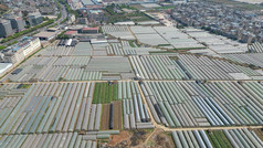 云南昆明鲜花种植基地航拍