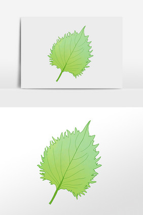 手绘春季植物树叶一片叶子插画