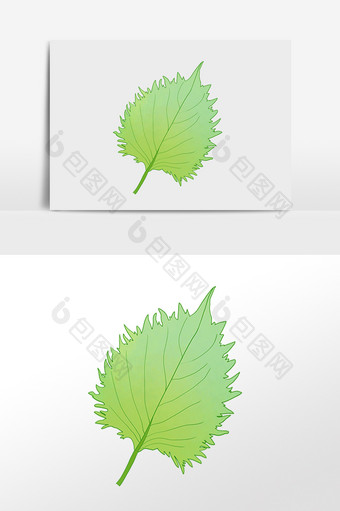 手绘春季植物树叶一片叶子插画图片