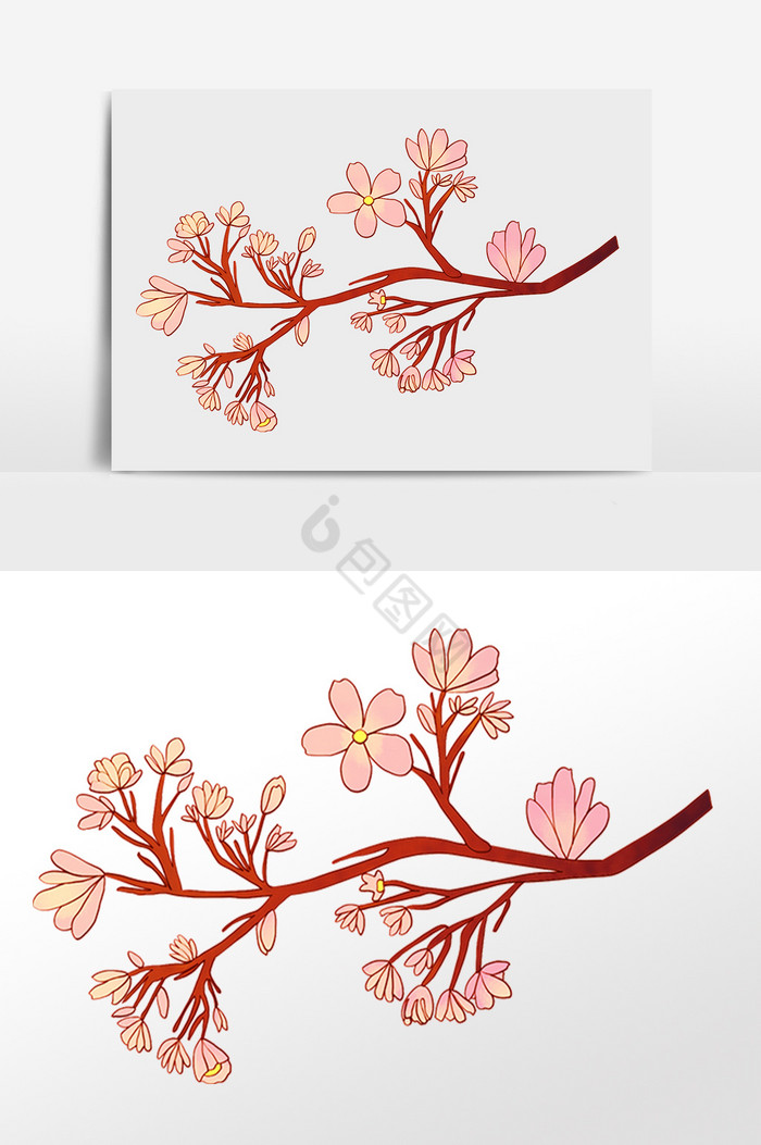 植物樱花花枝插画图片