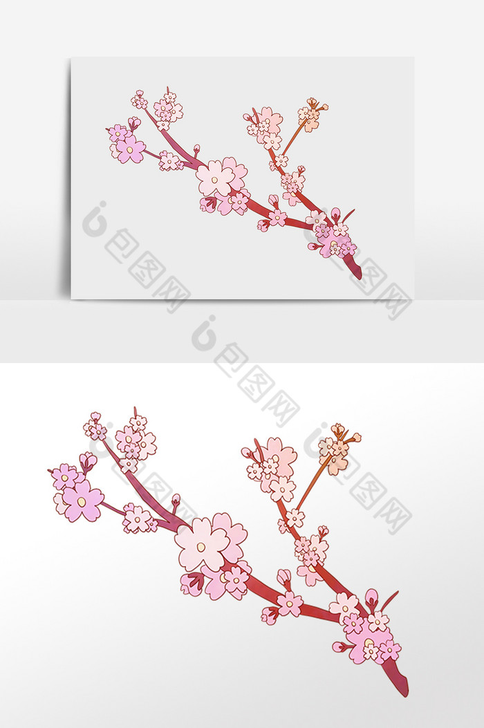 植物樱花花枝花朵插画图片图片