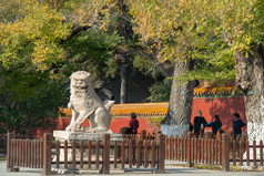东陵公园石狮子