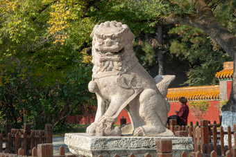 东陵公园石狮子