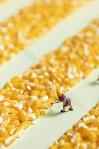 玉米碴创意<strong>农民</strong>晾晒<strong>粮食</strong>图片