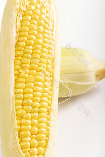 甜玉米素材白色图片