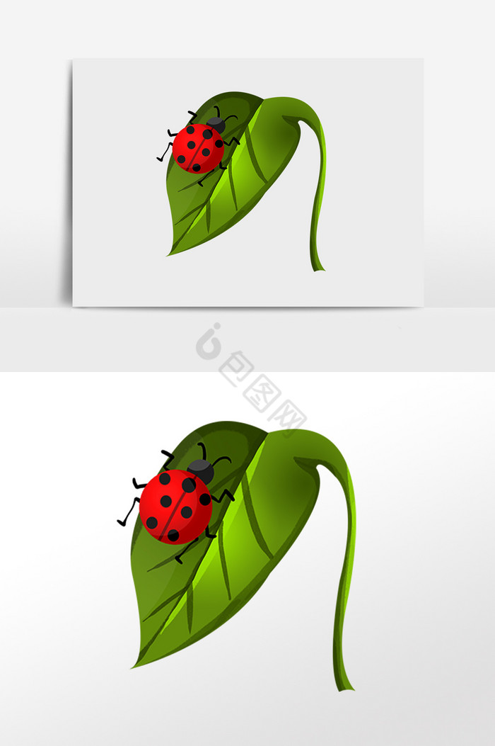 惊蛰植物叶片瓢虫插画图片