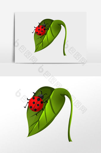 手绘惊蛰植物叶片瓢虫插画图片