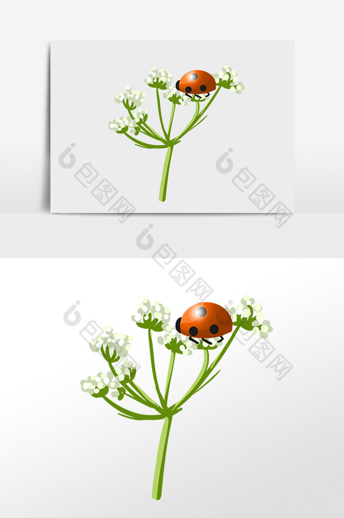 惊蛰植物七星瓢虫插画图片图片
