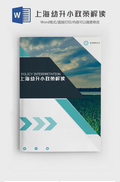 上海幼升小 政策解读word模板