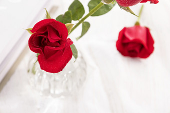 情人节红玫瑰七夕素材图片