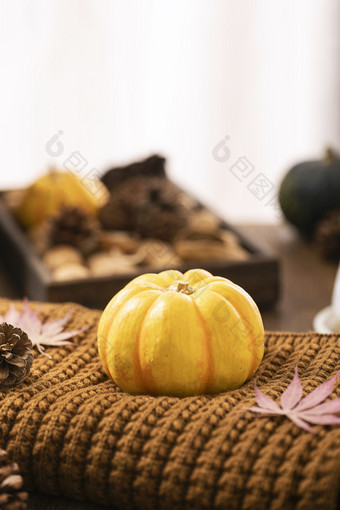 南瓜围巾温暖秋天图片