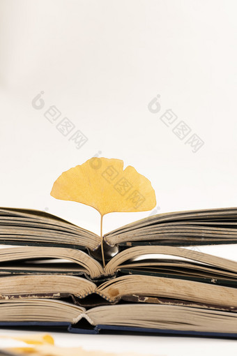 打开的图书与银杏叶秋天图片
