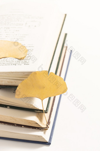 银杏叶与打开的图书秋天素材