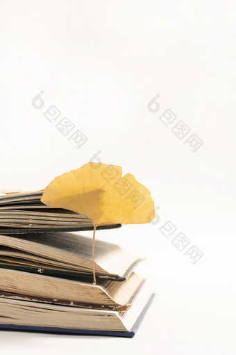 银杏叶与打开的图书秋天海报