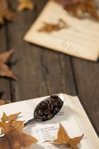 咖啡豆素材秋季秋天图片