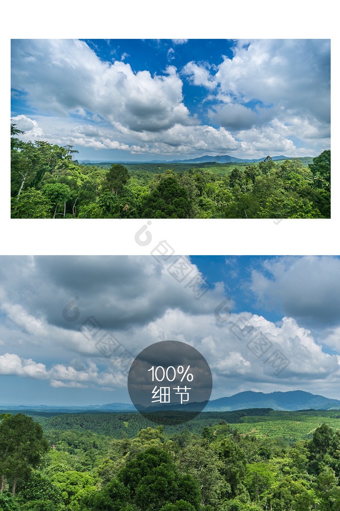 绿色大气马来西亚热带丛林风光摄影图片