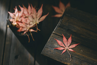 枫叶创意光影秋天素材